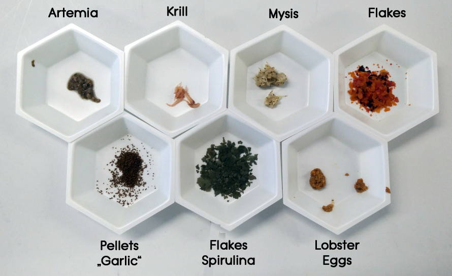 Different types of fish food